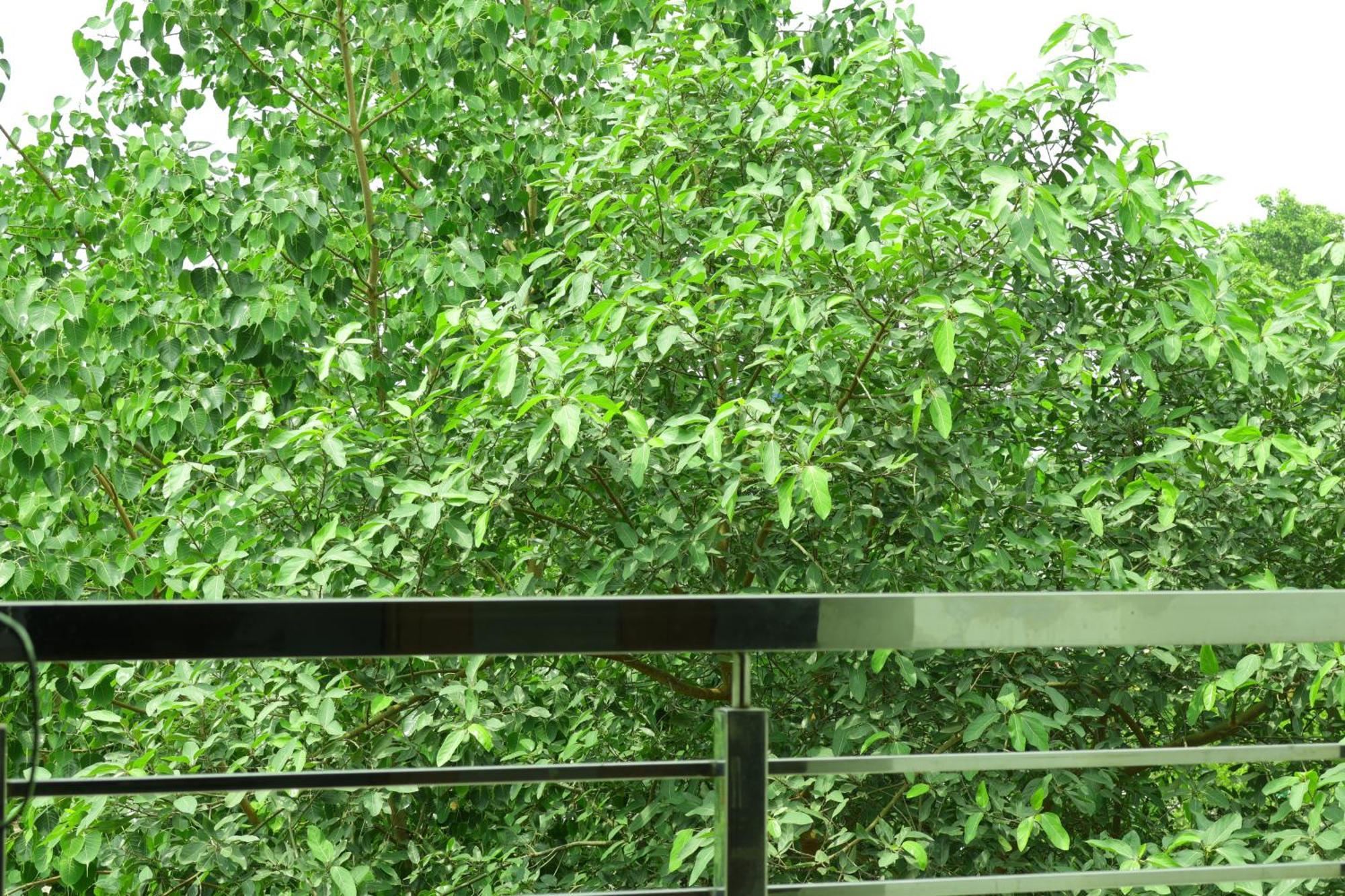 Trpotels Subhmagal กวาลิออร์ ภายนอก รูปภาพ